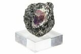 Corundum (Sapphire) Crystal in Mica Schist Matrix - Madagacar #130487-1